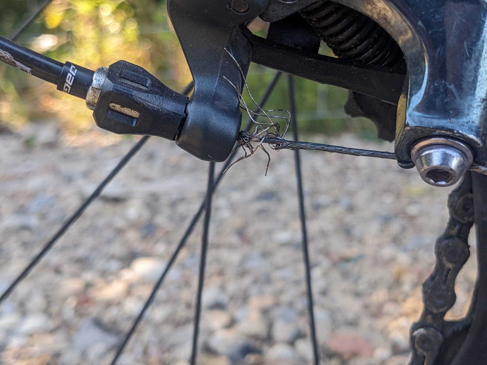 PHOTO-2025-07-12-09-44-01